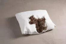 L'énigme de l'angle