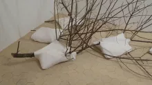 L'énigme de l'angle
