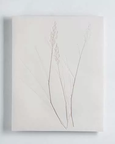 Vestiges