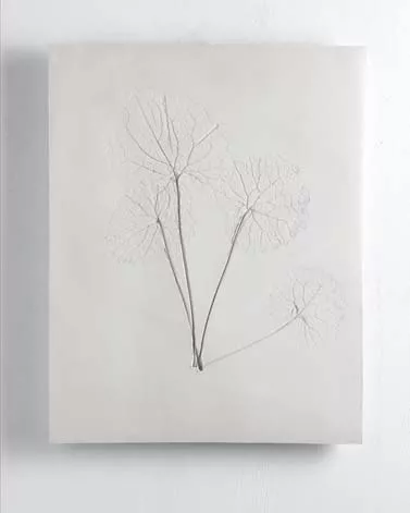 Vestiges