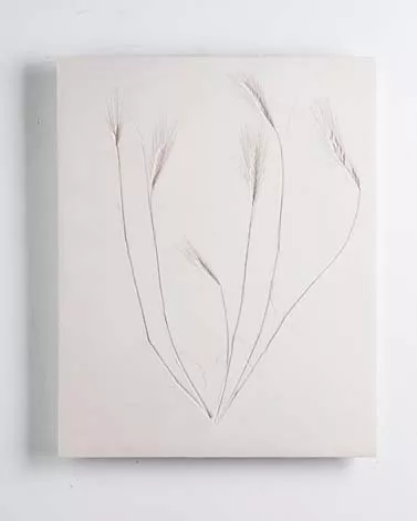 Vestiges