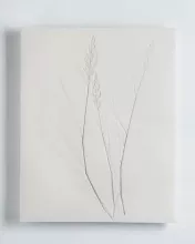 Vestiges