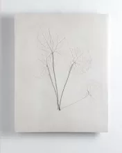 Vestiges