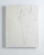 Vestiges