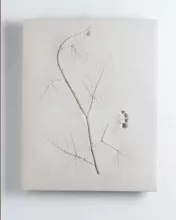 Vestiges