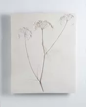 Vestiges